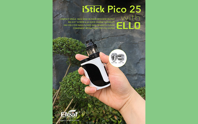 Pico25_05